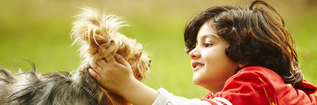Learning Tools: Pets for Childhood Skills Development | EnfaShop India